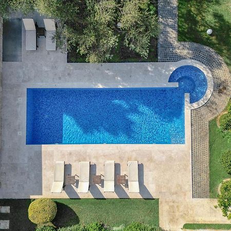 Villa Zen Port Petrovac Exterior photo